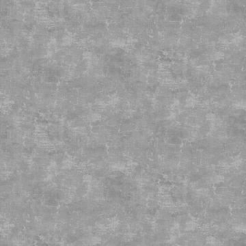 Gray Beard - Canvas Texture