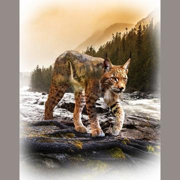 Luchs Panel