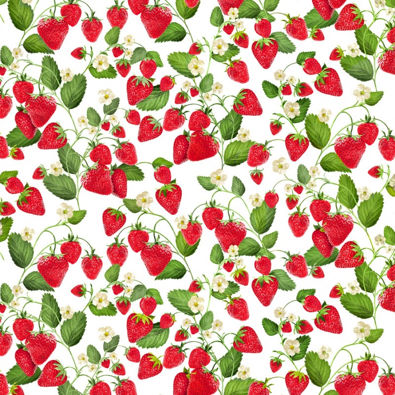 Schöne Erdbeeren - Früchte  und Blüten
