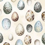 Schöne Eier auf beige