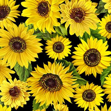 Sonnenblumen auf schwarzem Grund